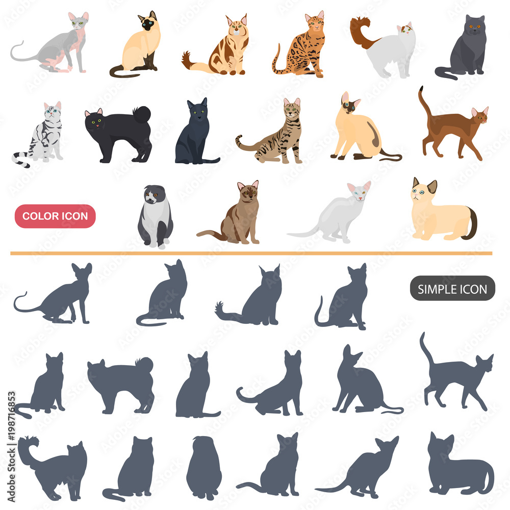 Color flat and simple cats breeds icons set