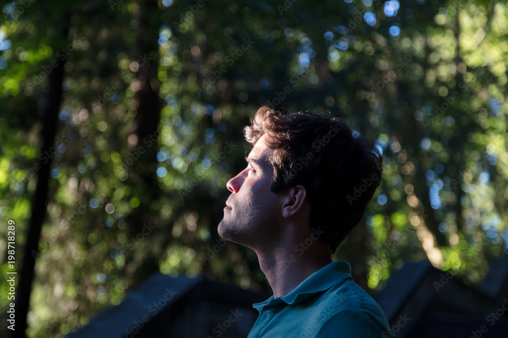 Man looking up in woods Man looking up in woods