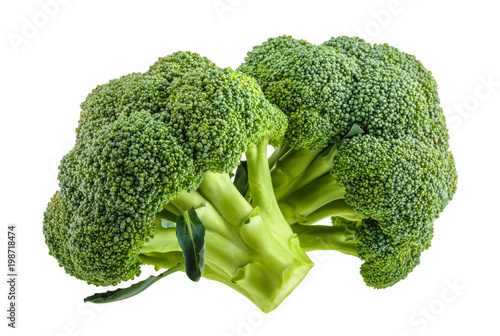 broccoli isolated on white without shadow