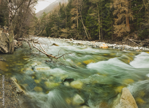 Fototapeta Naklejka Na Ścianę i Meble -  cascades of a mountain river, streams of clean water run through large stones surrounded by coniferous trees in early spring