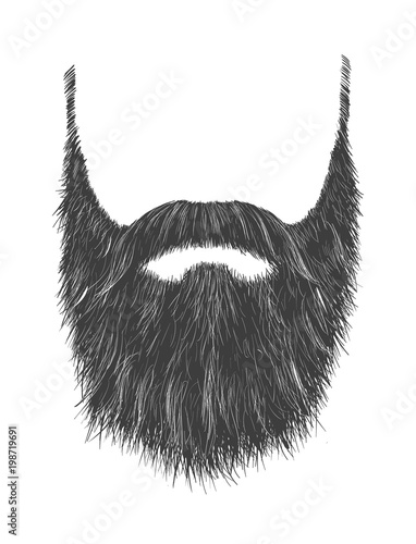 Long Gray Beard