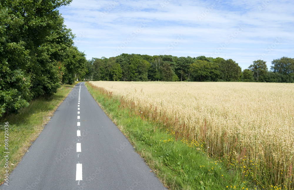 Laesoe / Denmark: Well-developed rural cycleway between Byrum and Oesterby