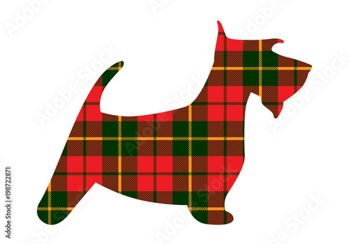 Scotch terrier tartan texture plaid red pattern scotland