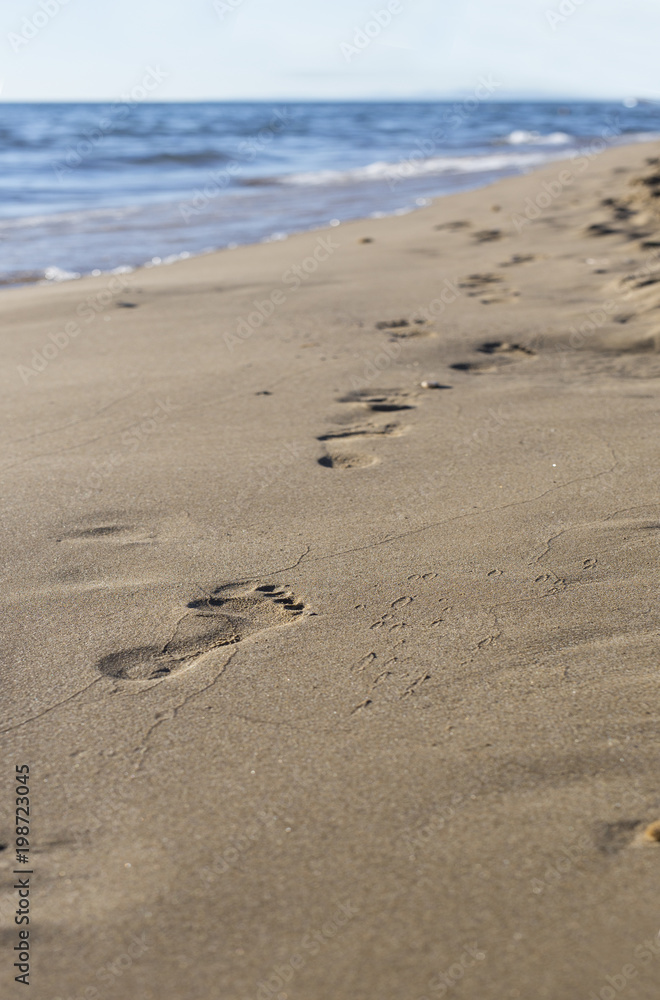 personal impressions left on the sand of the beach personal impressions left on the sand of the beach