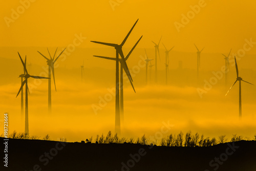 Wind Farm of Wind Turbines