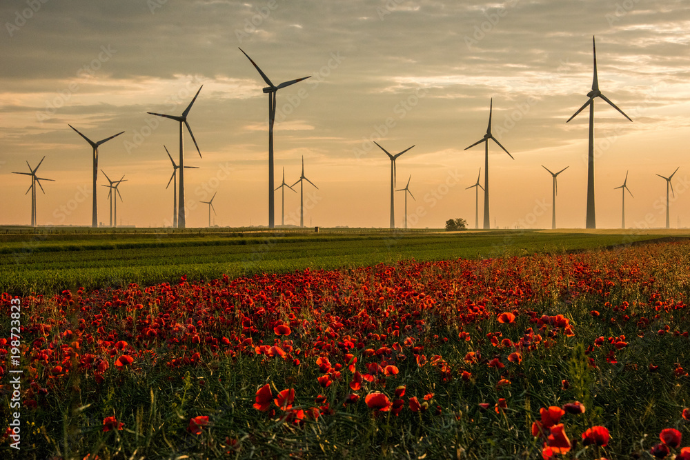 Wind Farm of Wind Turbines