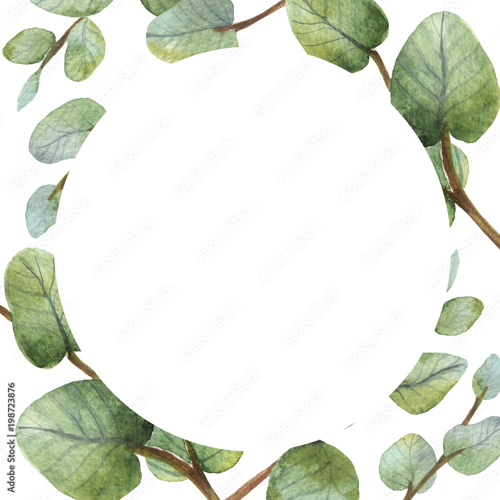 Fototapeta premium Watercolour green eucalyptus card on white background.