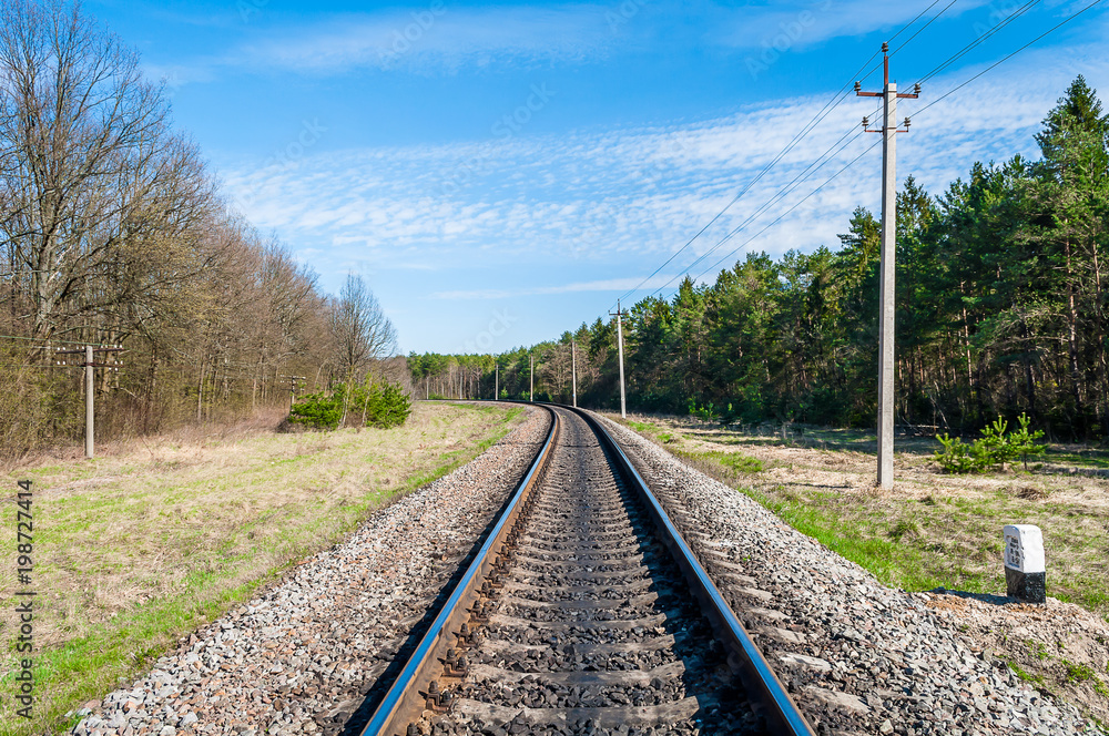 Fototapeta premium Rail road in a forest