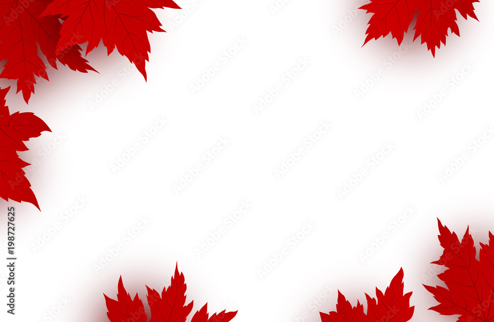 Obraz premium Canada day background design of red maple leaves isolated on white background with copy space vector illustration