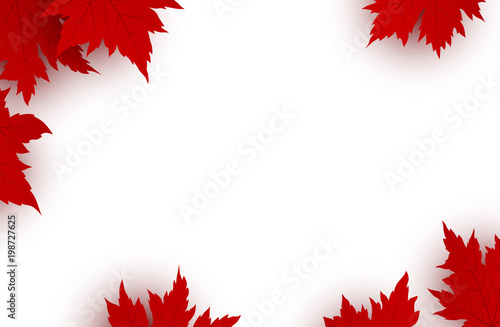 Canada day background design of red maple leaves isolated on white background with copy space vector illustration