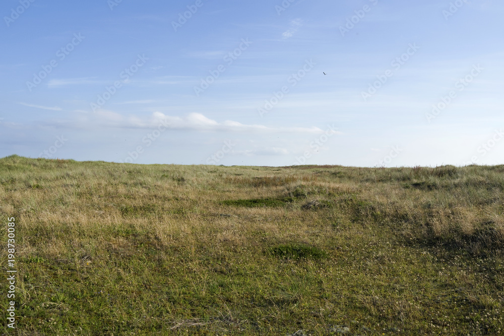 Laesoe / Denmark: View over the European bird sanctuary in the dunes at Bloeden Hale Laesoe / Denmark: View over the European bird sanctuary in the dunes at Bloeden Hale