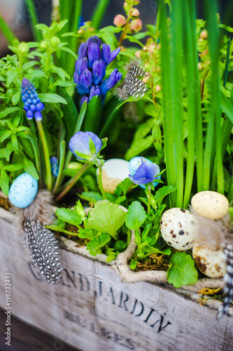 Fototapeta Naklejka Na Ścianę i Meble -  Spring floral concept with muscari