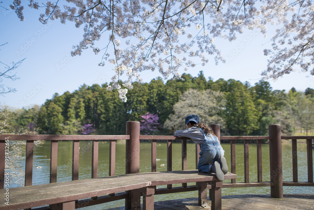 桜の下で池を見つめる女の子 桜の下で池を見つめる女の子