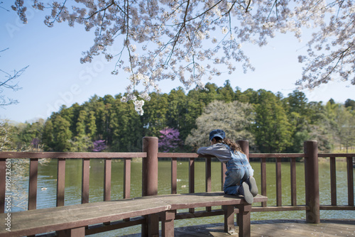桜の下で池を見つめる女の子