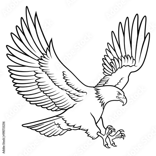 Eagle 009