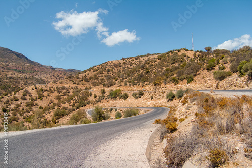 Winding road with trees in red Atlas Mountains, Morocco, Africa.