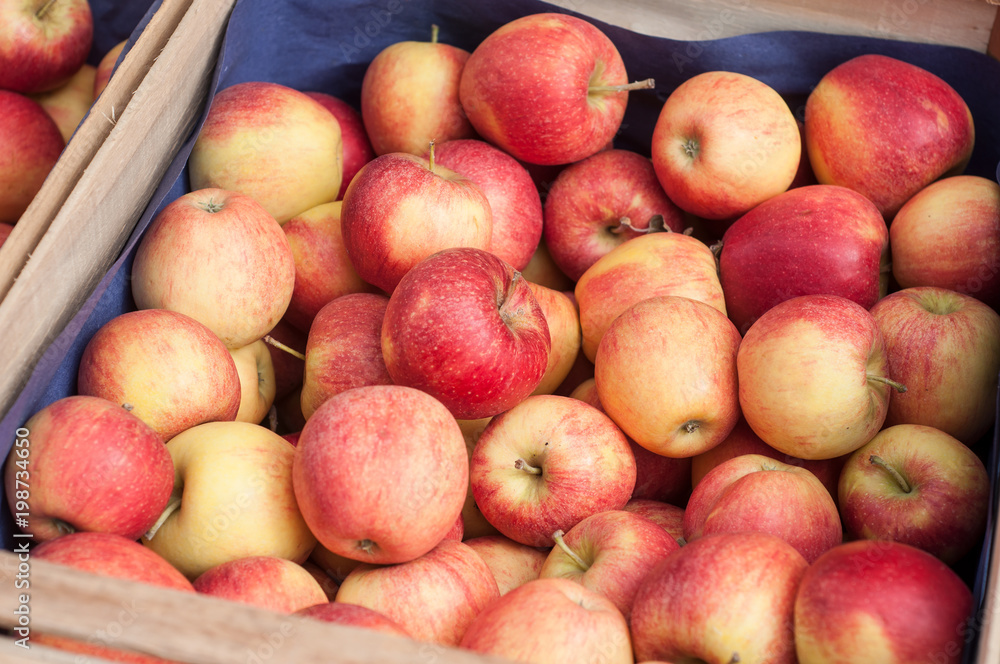 closeup of fresh red apples at the market closeup of fresh red apples at the market