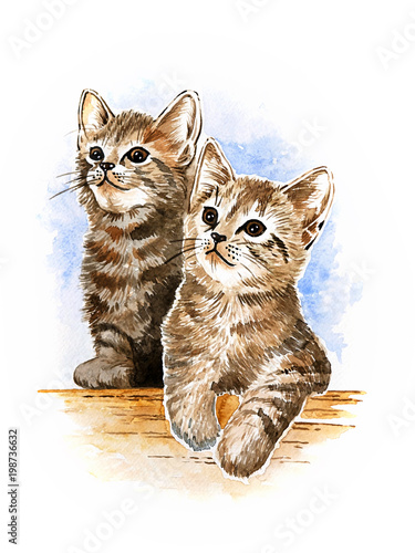 Obraz na płótnie Dwa kocięta