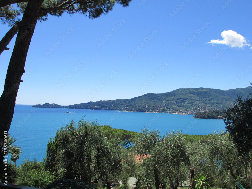 Obraz premium portofino