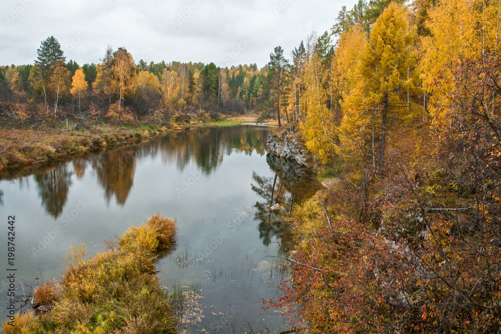 River, yellow autumn forest
