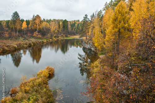 Fototapeta Naklejka Na Ścianę i Meble -  River, yellow autumn forest