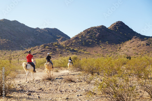 Horseback Riding Through Arizona Desert