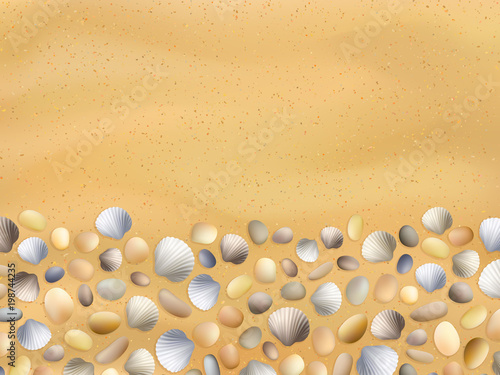 Shells on the sand. Stones and seashells background. Summer seashore vector. Ocean sand texture. Travel and vacation illustration. Tropical beach surface.