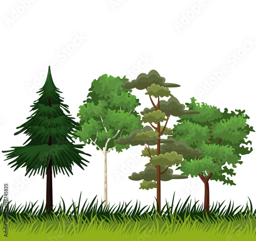 Trees and bushes vector illustration graphic design
