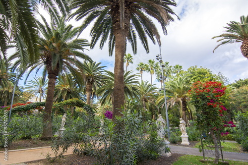 Park Garcia Sanabria  Santa Cruz  Tenerife  Canary islands  Spain
