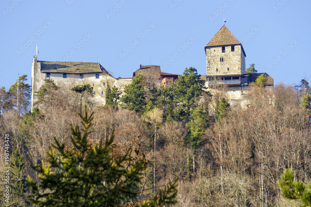 Burg Hohenklingen von Stein am Rhein aus gesehen