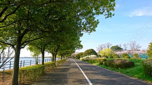 湖畔のサイクリングロード