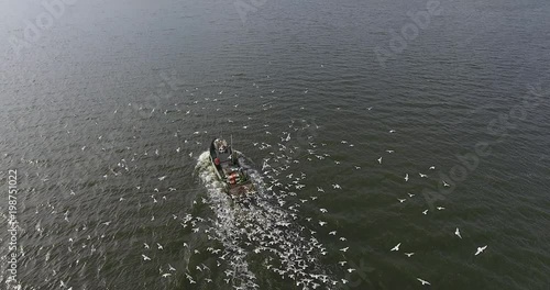 Top view of a small fishing boat with a motor in the middle of the river with a pack of hungry seagulls photo