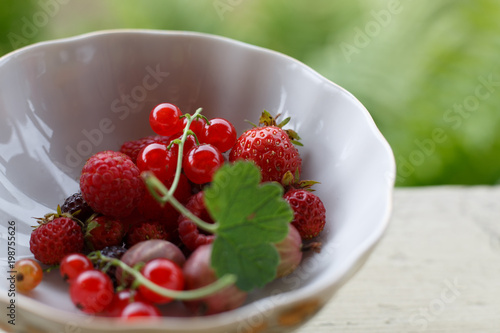 Berries