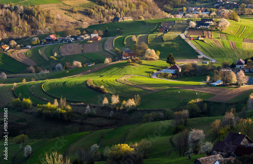 Spring fields in Hrinova, Slovakia