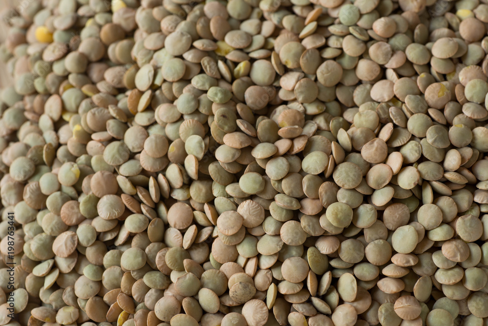 green lentils macro green lentils macro