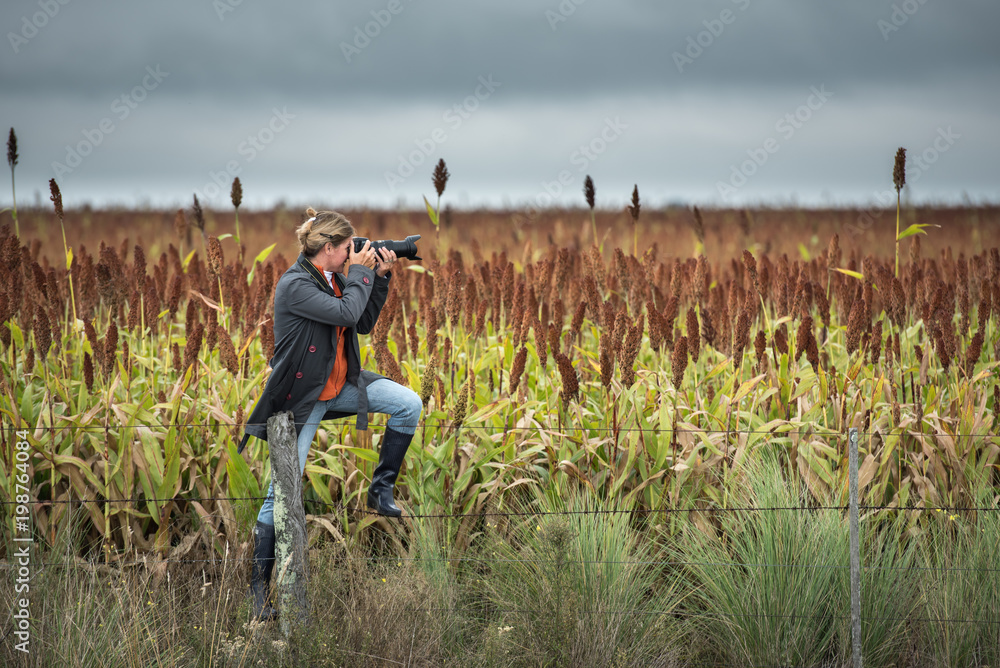 Fototapeta premium Female photographer with dslr camera