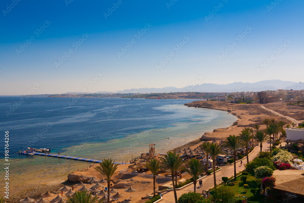 Egypt. Red sea day. Beach, sea, palms