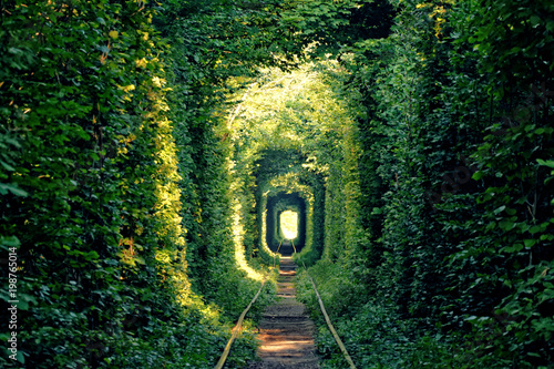 Tunnel of Love near Klevan, Ukraine