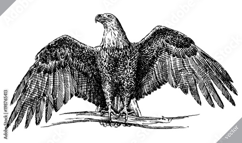 black and white engrave isolated eagle vector illustration