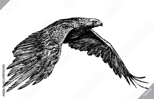black and white engrave isolated eagle vector illustration