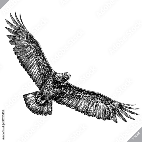 black and white engrave isolated eagle vector illustration
