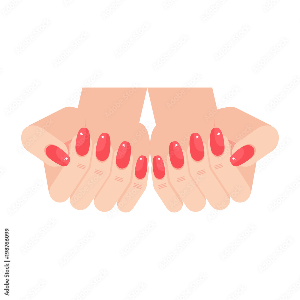 Woman hands with manicure nails. Flat vector cartoon illustration. Objects  isolated on white background. Stock Vector | Adobe Stock