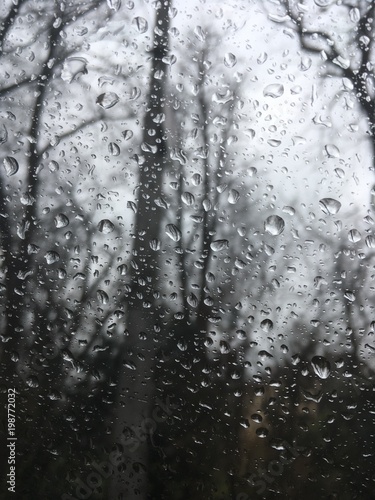 raindrops on window with trees in background