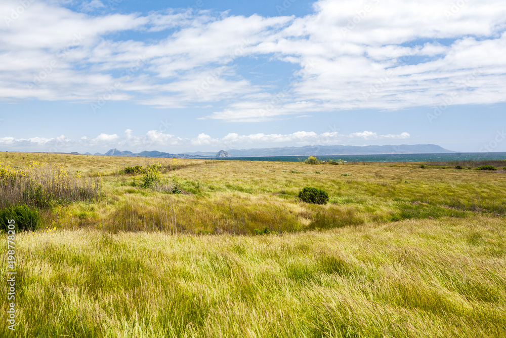 Green Meadow, View of Morrow Bay and cliffs, panorama landscape, in Estero Bluffs State Park Green Meadow, View of Morrow Bay and cliffs, panorama landscape, in Estero Bluffs State Park