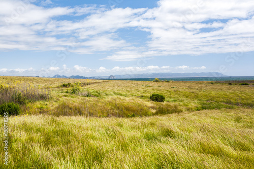 Green Meadow, View of Morrow Bay and cliffs, panorama landscape, in Estero Bluffs State Park