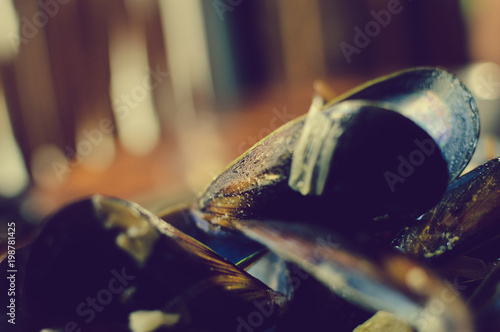 Closeup on Mussles Shells, abstract foody background © aquar