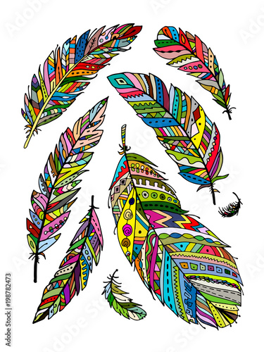 Feather collection for your design