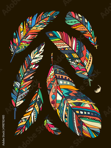 Feather collection for your design