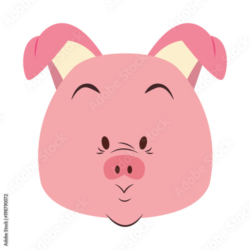 Funny pig cartoon vector illustration graphic design