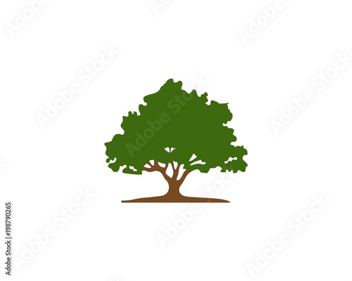 Tree shape vector